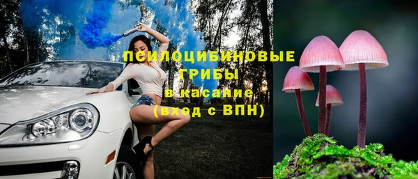 молекула духа Белокуриха