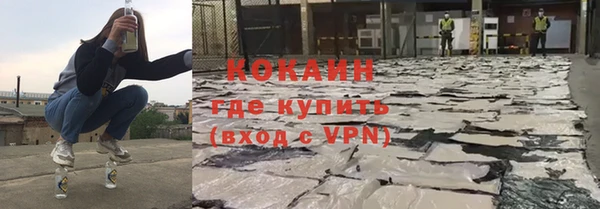 молекула духа Белокуриха
