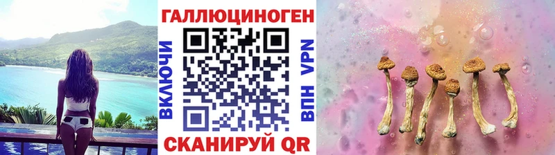 Купить  Мариинский Посад  Псилоцибиновые грибы Cubensis 