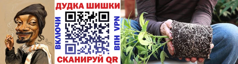 МАРИХУАНА планчик  Купить  Мариинский Посад 